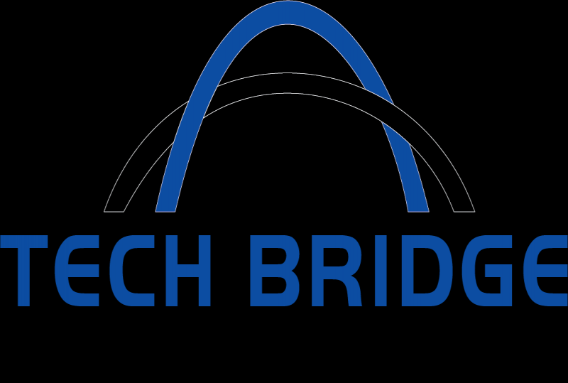 Tech Bridge consultancy